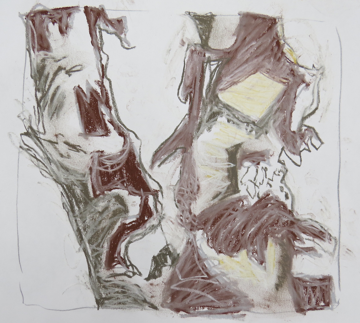 tree bark study, pastel by Canadian contemporary artist barbra edwards, gulf islands, bc