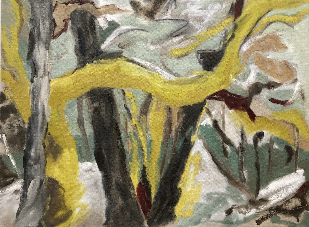yellow tree study (covid) oil on linen by Canadian contemporary painter barbra edwards, Pender Island, BC