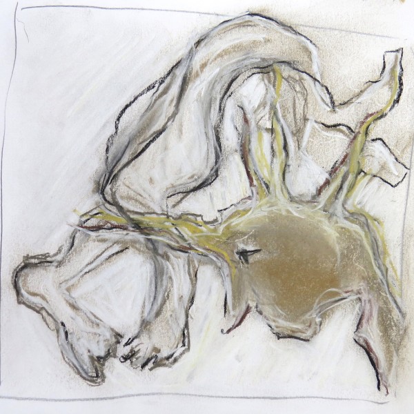 studio sketch on paper, Canadian contemporary artist barbra edwards, gulf islands