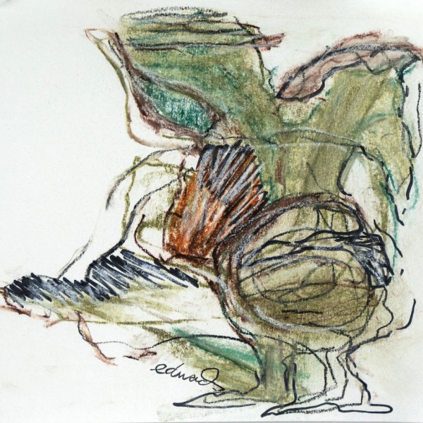 ink and pastel study by Canadian artist barbra edwards Pender Island, BC