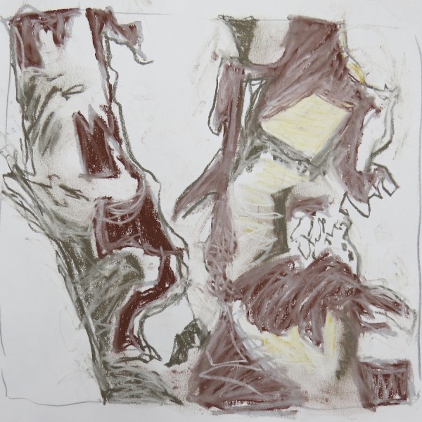 tree bark study, pastel by Canadian contemporary artist barbra edwards, gulf islands, bc