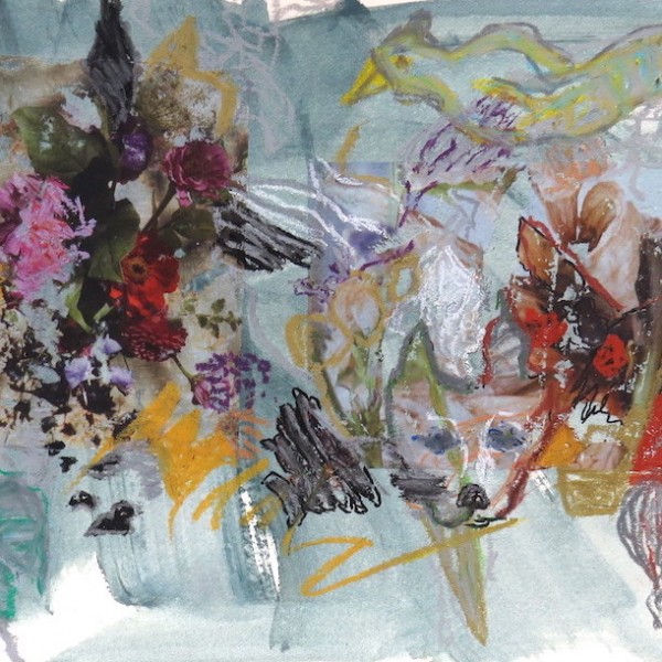 species, mixed media, photopainting, Canadian contemporary artist barbra edwards, Gulf Islands