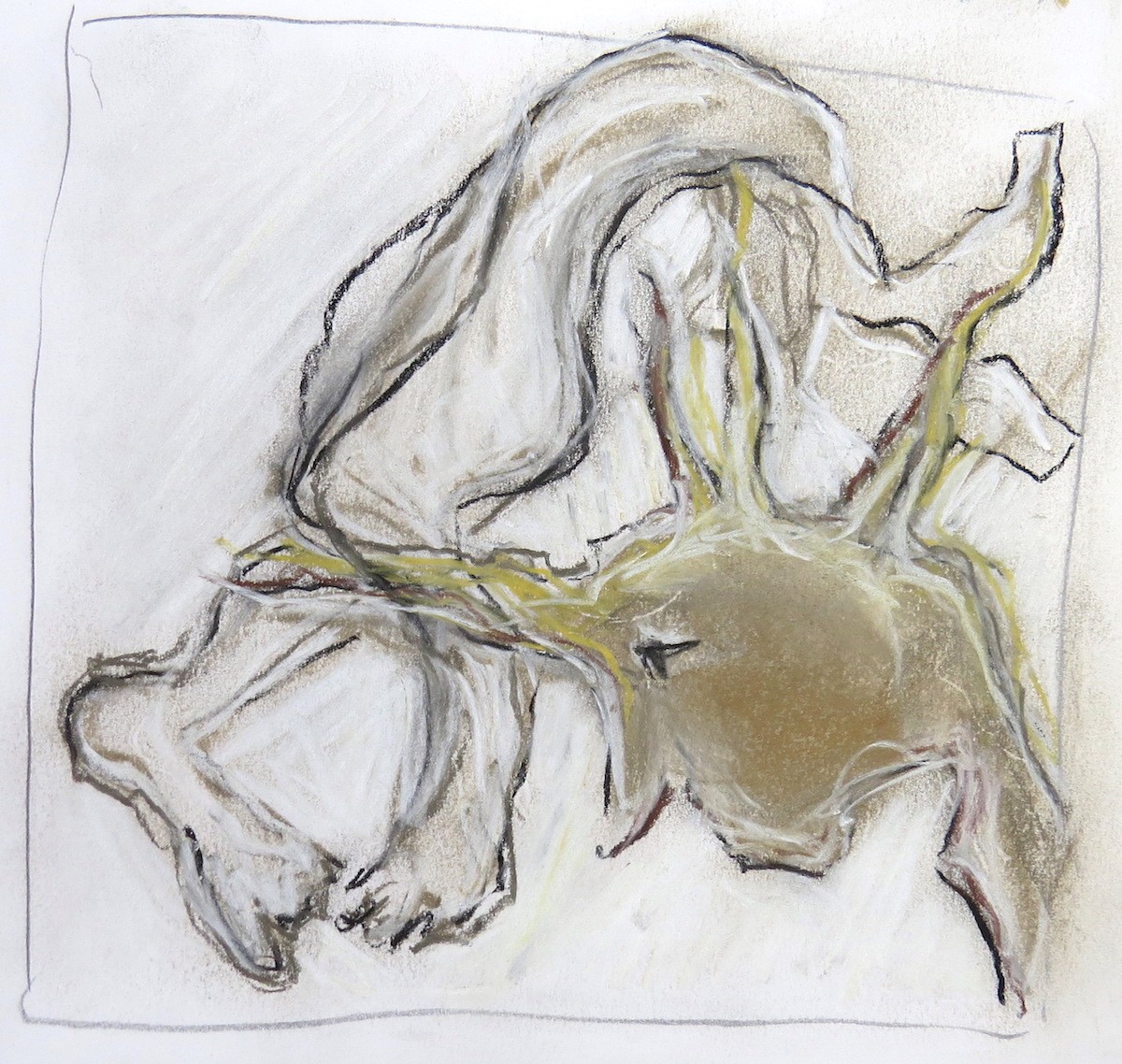 studio drawing in charcoal and pastel by Canadian contemporary artist barbra edwards, Gulf Islands, BC