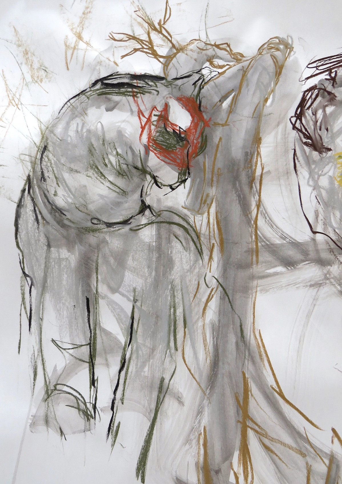 studio drawing with mixed media by Canadian contemporary artist barbra edwards, gulf islands, bc
