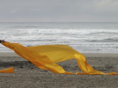 the man who flew kites photograph by artist barbra edwards Pender Island, BC