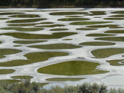 spotted lake, Osoyoos, BC photographed by canadian artist barbra edwards