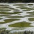 spotted lake, Osoyoos, BC photographed by canadian artist barbra edwards