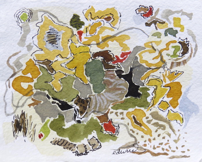 'petite jaune (roadside)' watercolour by contemporary BC artist barbra edwards, Gulf Islands